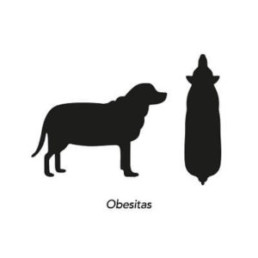 Obesitas hond